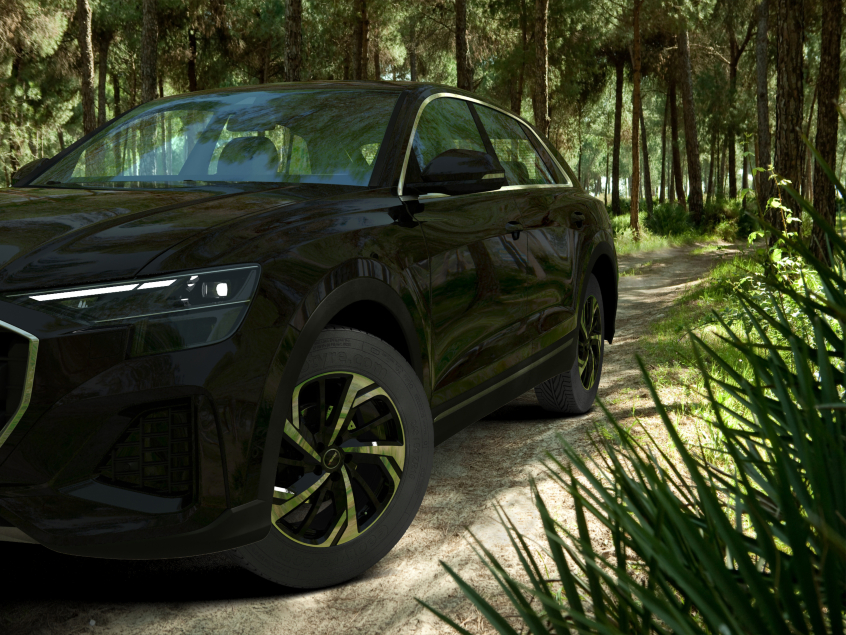 RIXON (RX)|Schwarz Poliert 19