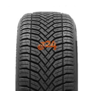DELINTE AW6 175/70 R14 88 T XL