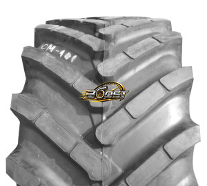 ROSAVA CM-101 800/65 R32 172A8/169B TT