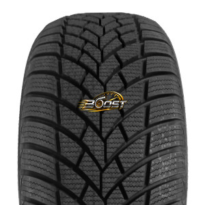 ROADX FROST-T 205/45 R17 88 V XL